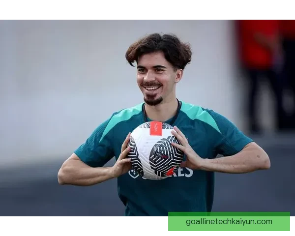 奥地利国家队排名提升，近期表现稳健引发关注