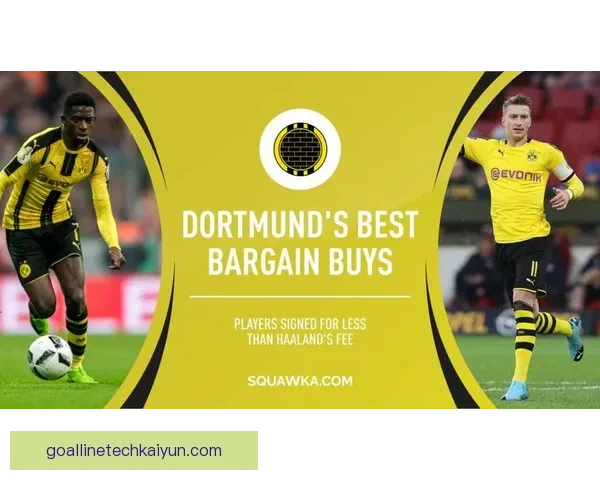 多特转会策略分析：面临市场挑战，寻求长期发展方向