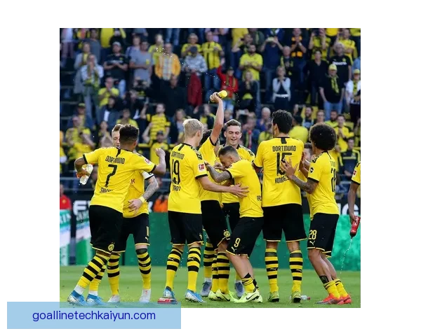 奥格斯堡球队结构解析：当前阵容框架与战术体系分析